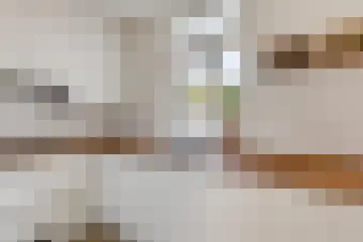 3e Poellaan 71 Lisse thumbnail 15