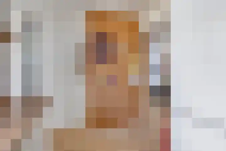3e Poellaan 71 Lisse thumbnail 16