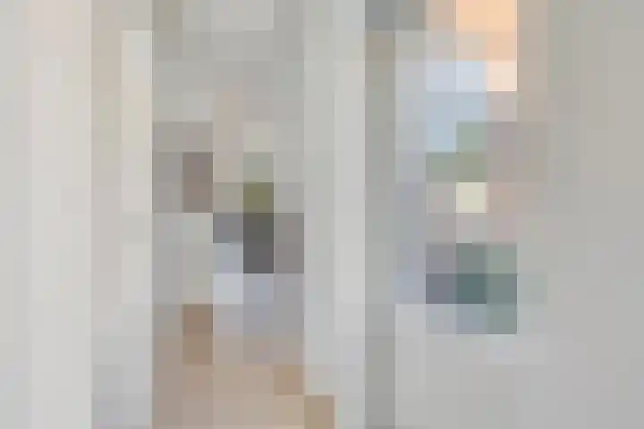 3e Poellaan 71 Lisse thumbnail 17
