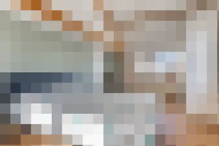 3e Poellaan 71 Lisse thumbnail 23