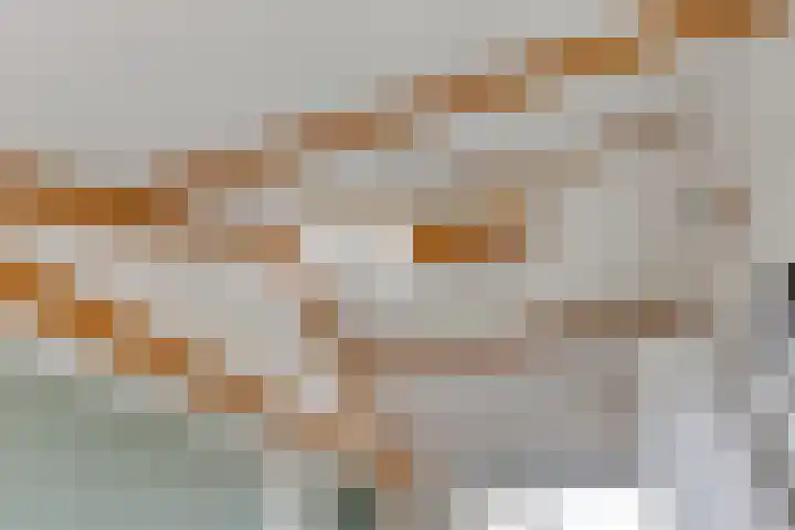 3e Poellaan 71 Lisse thumbnail 24