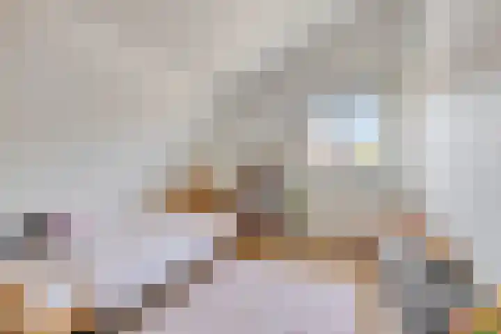 3e Poellaan 71 Lisse thumbnail 28