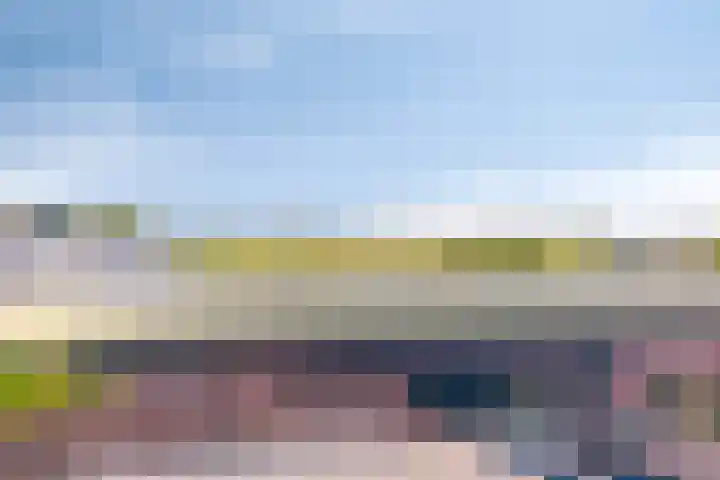 3e Poellaan 71 Lisse thumbnail 32