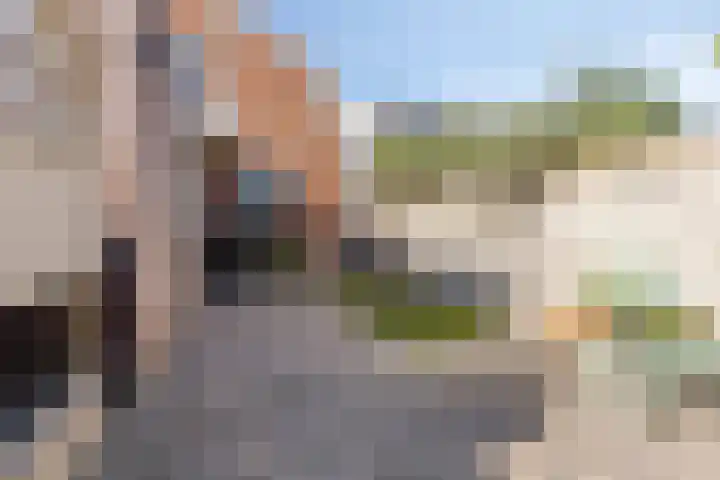 3e Poellaan 71 Lisse thumbnail 33