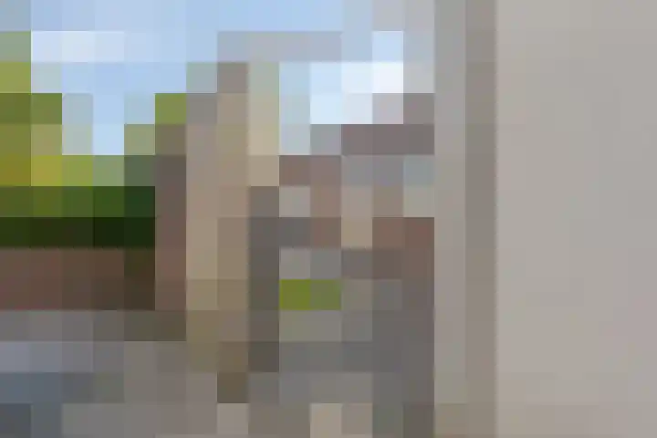 3e Poellaan 71 Lisse thumbnail 35