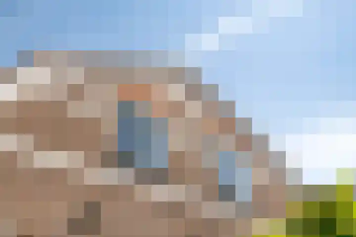 3e Poellaan 71 Lisse thumbnail 36