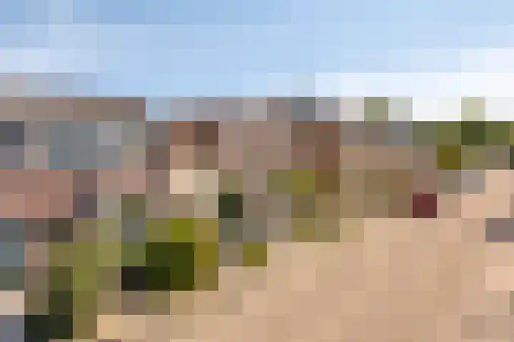 3e Poellaan 71 Lisse thumbnail 37