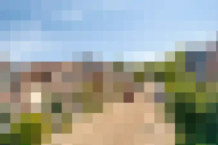 3e Poellaan 71 Lisse thumbnail 38