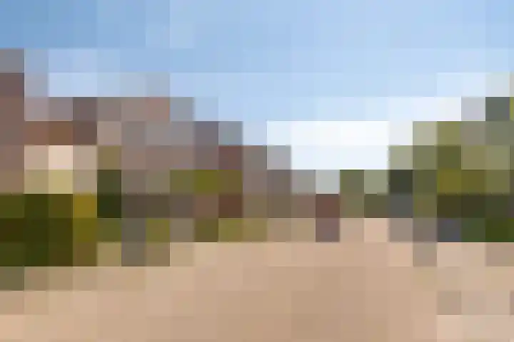 3e Poellaan 71 Lisse thumbnail 39
