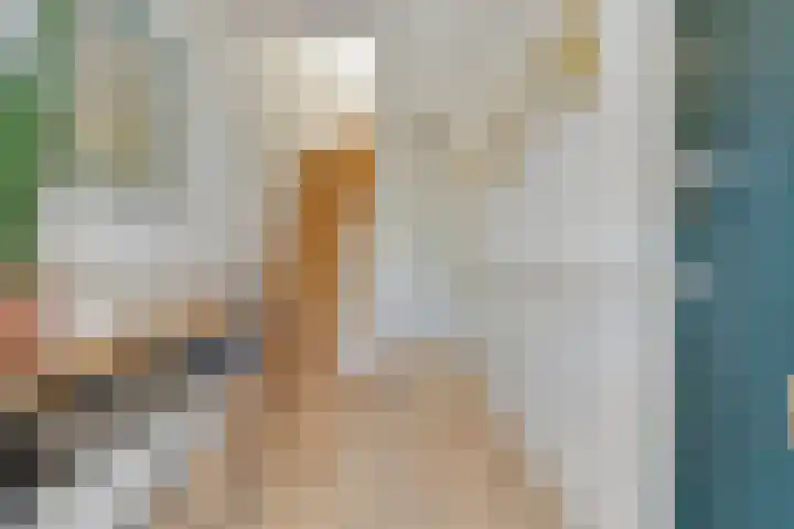 3e Poellaan 71 Lisse thumbnail 4