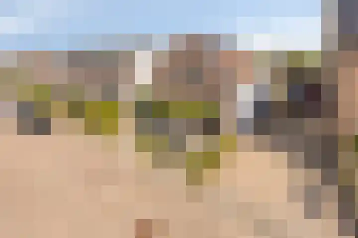 3e Poellaan 71 Lisse thumbnail 40