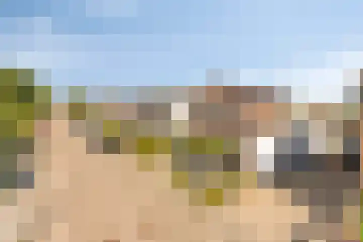 3e Poellaan 71 Lisse thumbnail 41