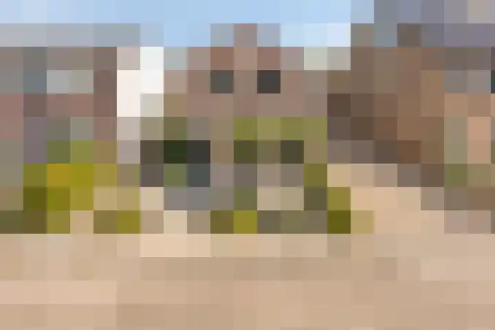 3e Poellaan 71 Lisse thumbnail 42