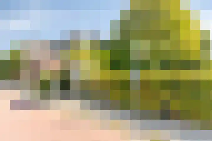 3e Poellaan 71 Lisse thumbnail 43