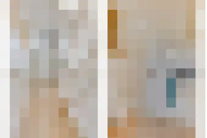 3e Poellaan 71 Lisse thumbnail 5