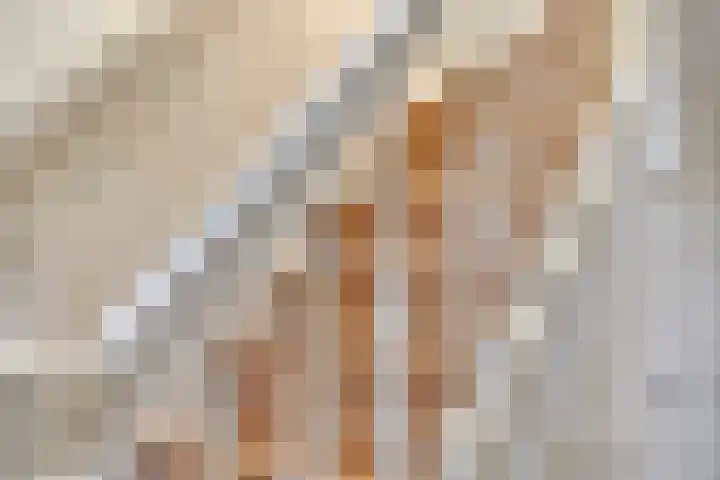 3e Poellaan 71 Lisse thumbnail 6