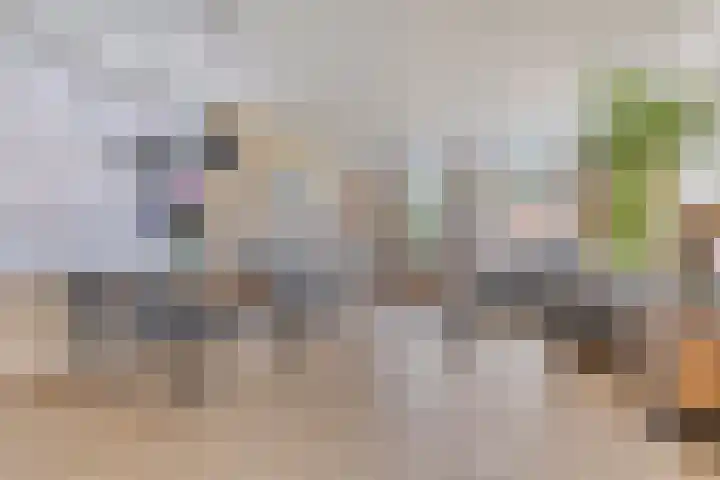 3e Poellaan 71 Lisse thumbnail 7