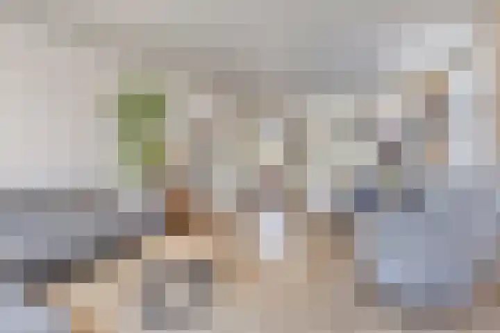 3e Poellaan 71 Lisse thumbnail 8