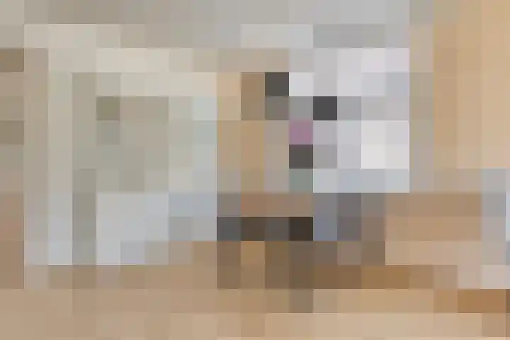 3e Poellaan 71 Lisse thumbnail 9