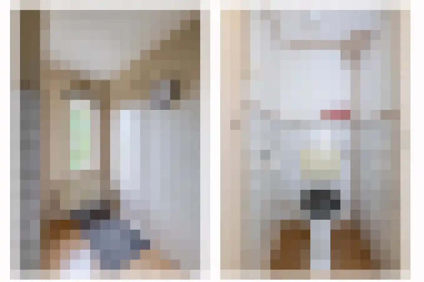 3e Poellaan 87 Lisse thumbnail 28