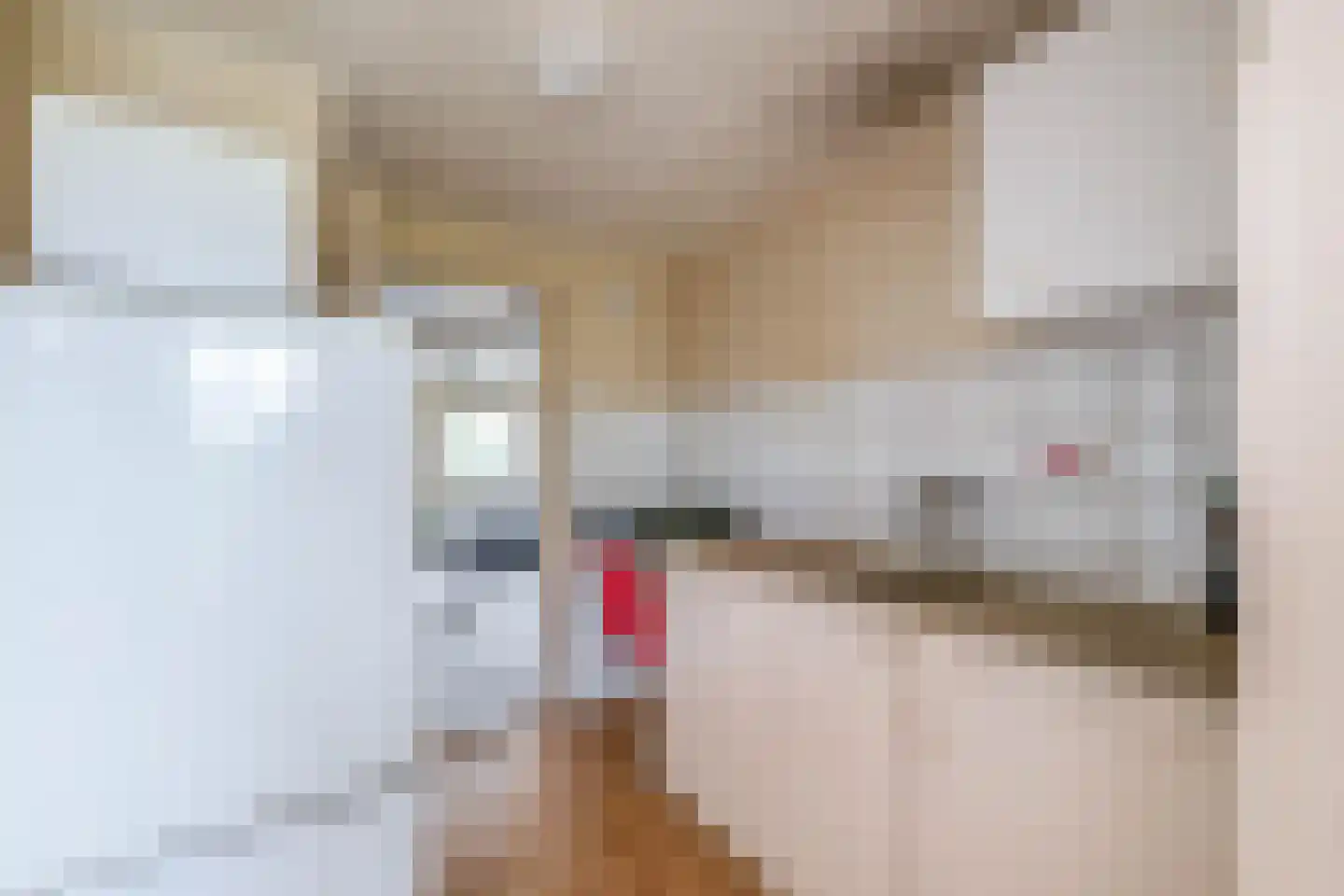 3e Poellaan 87 Lisse thumbnail 29