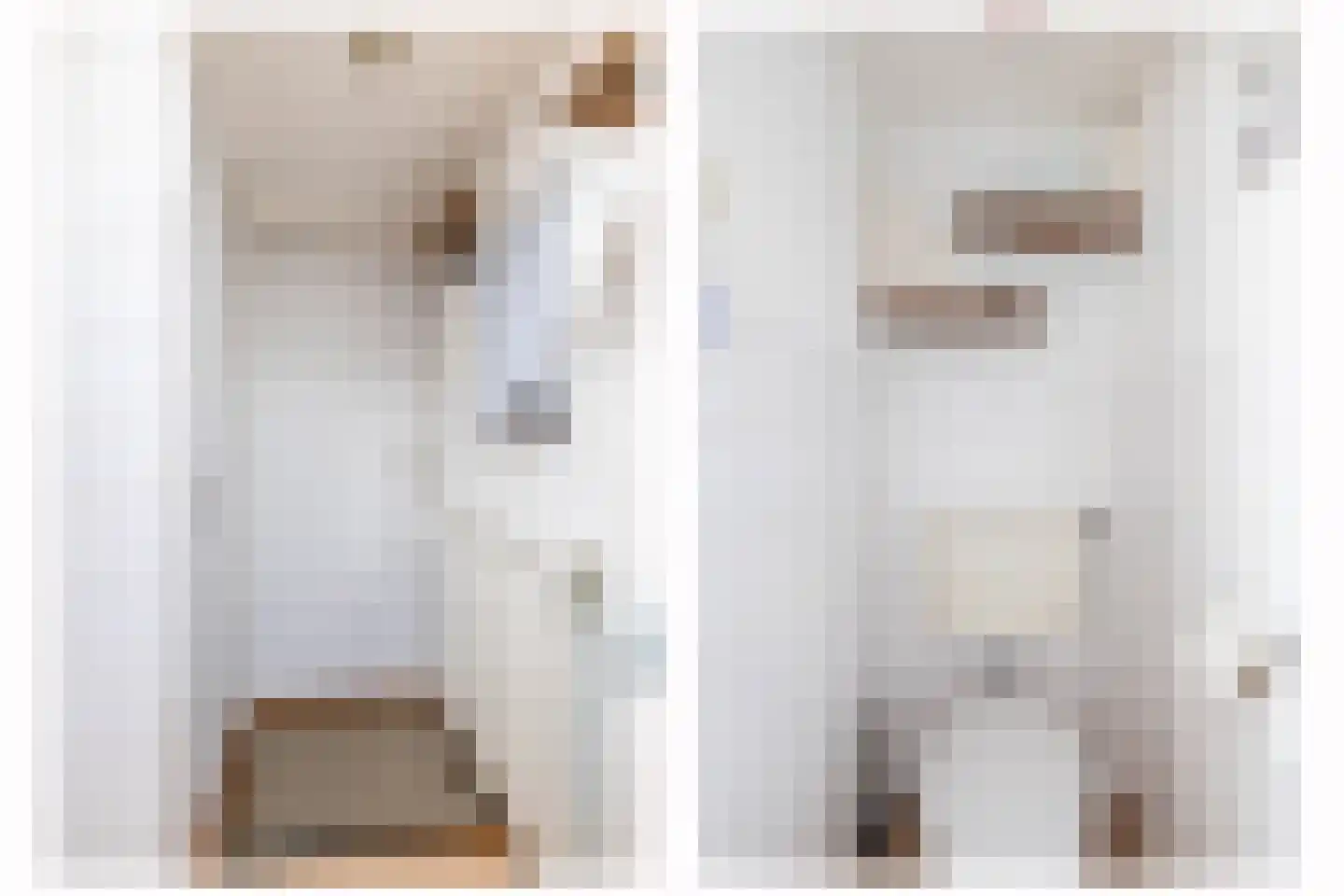 3e Poellaan 87 Lisse thumbnail 35
