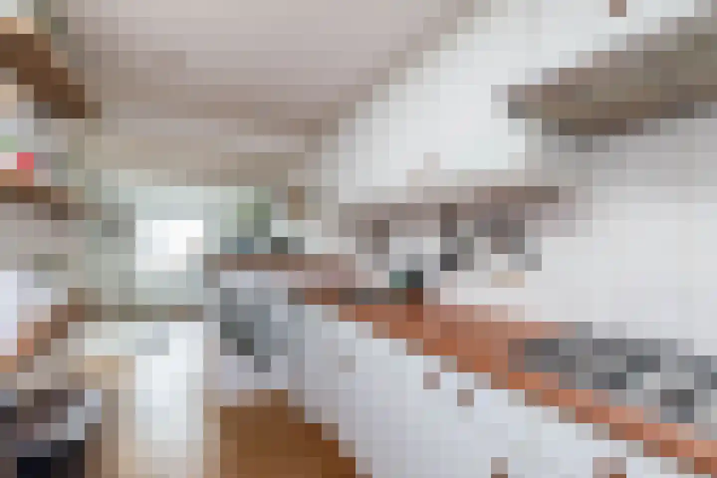 3e Poellaan 87 Lisse thumbnail 36
