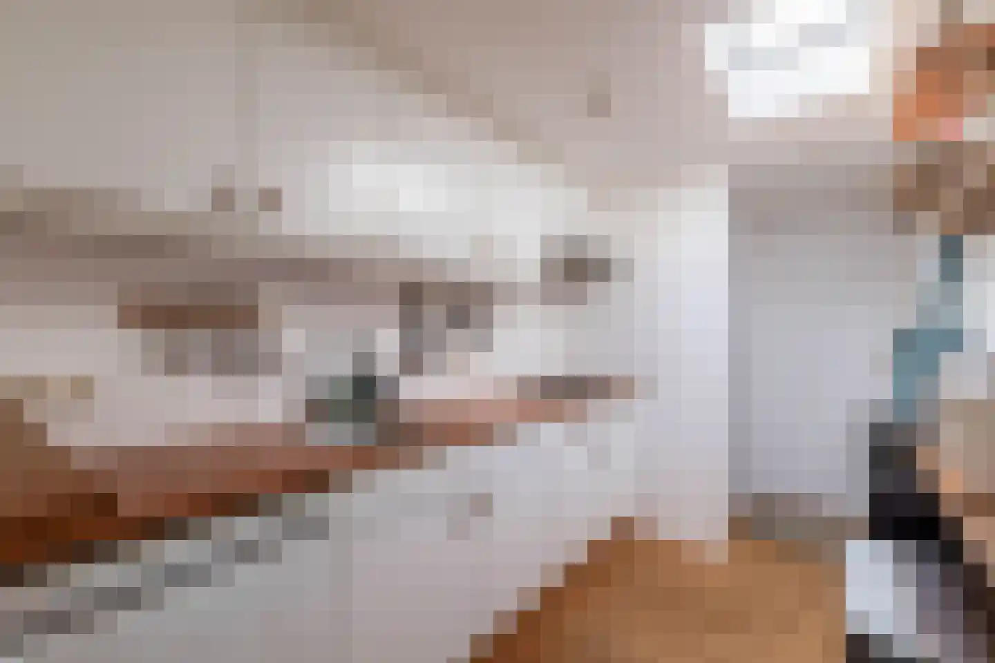 3e Poellaan 87 Lisse thumbnail 37