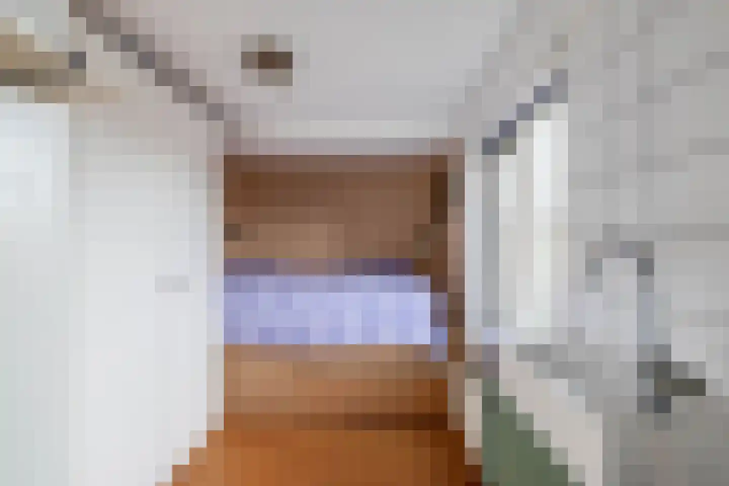 3e Poellaan 87 Lisse thumbnail 41