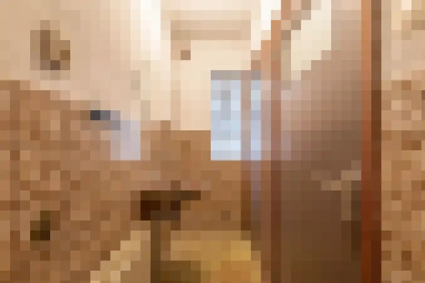 3e Poellaan 87 Lisse thumbnail 42