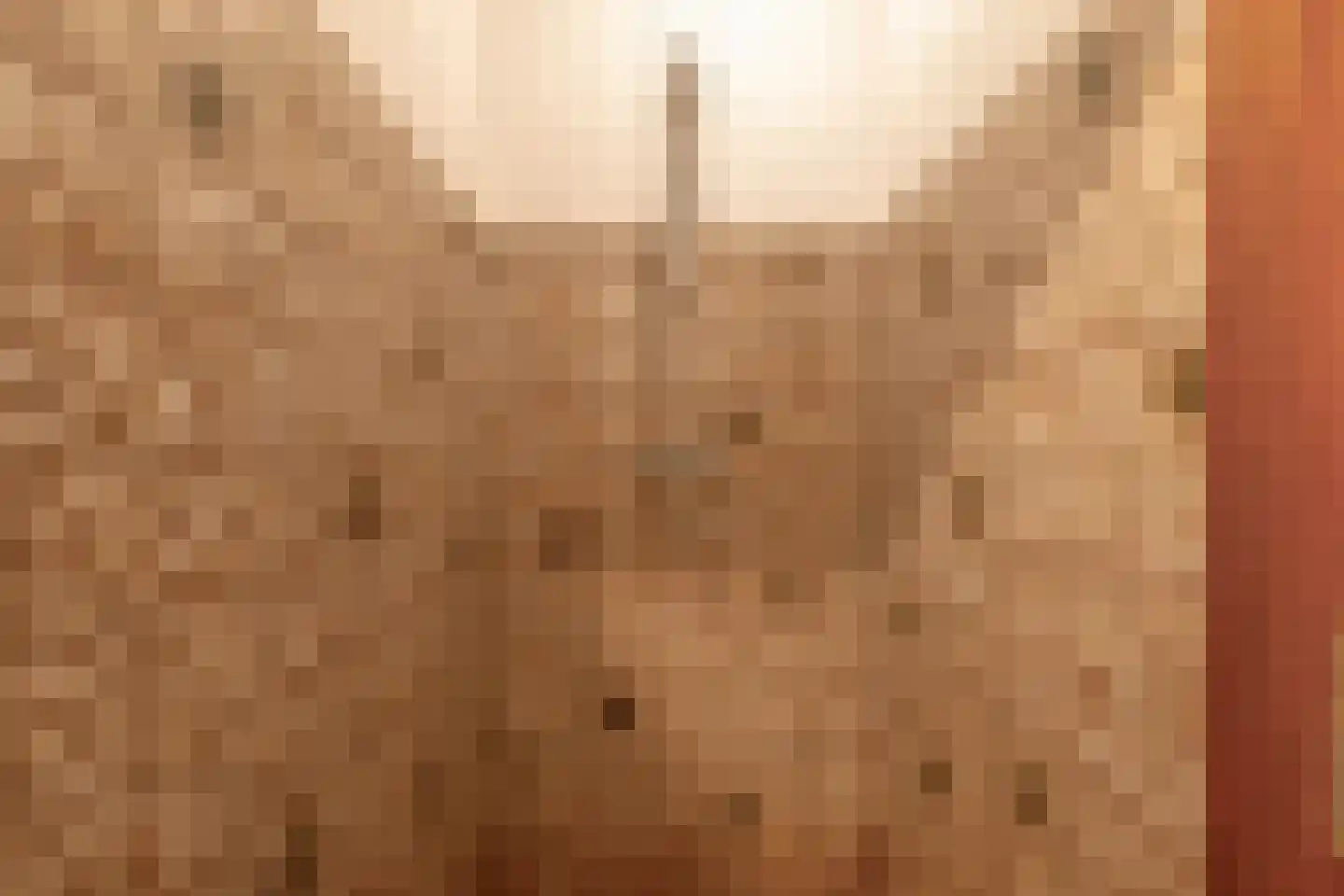 3e Poellaan 87 Lisse thumbnail 43