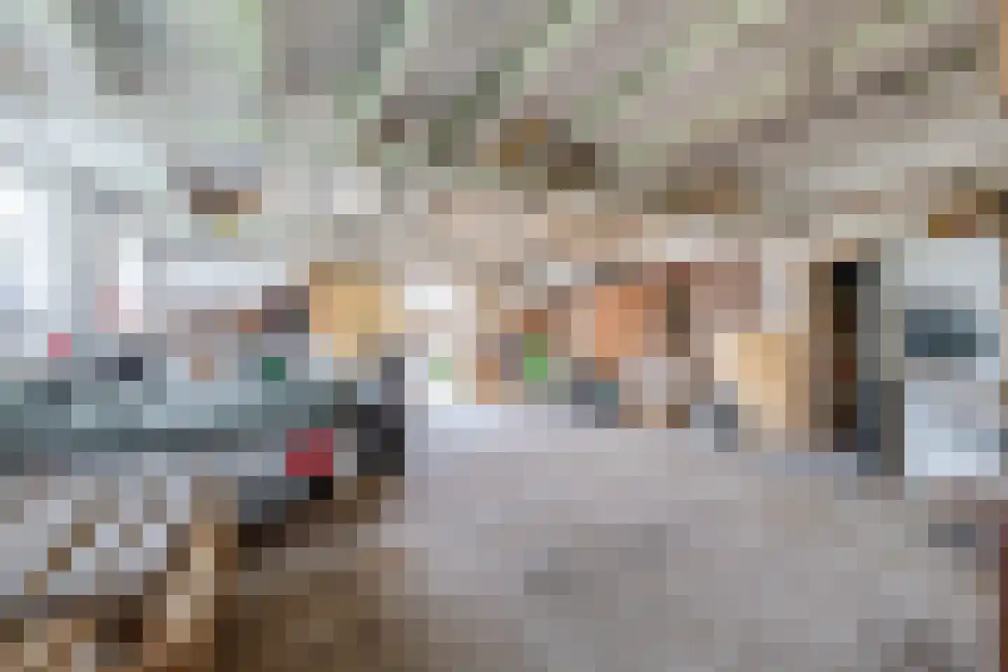 3e Poellaan 87 Lisse thumbnail 51