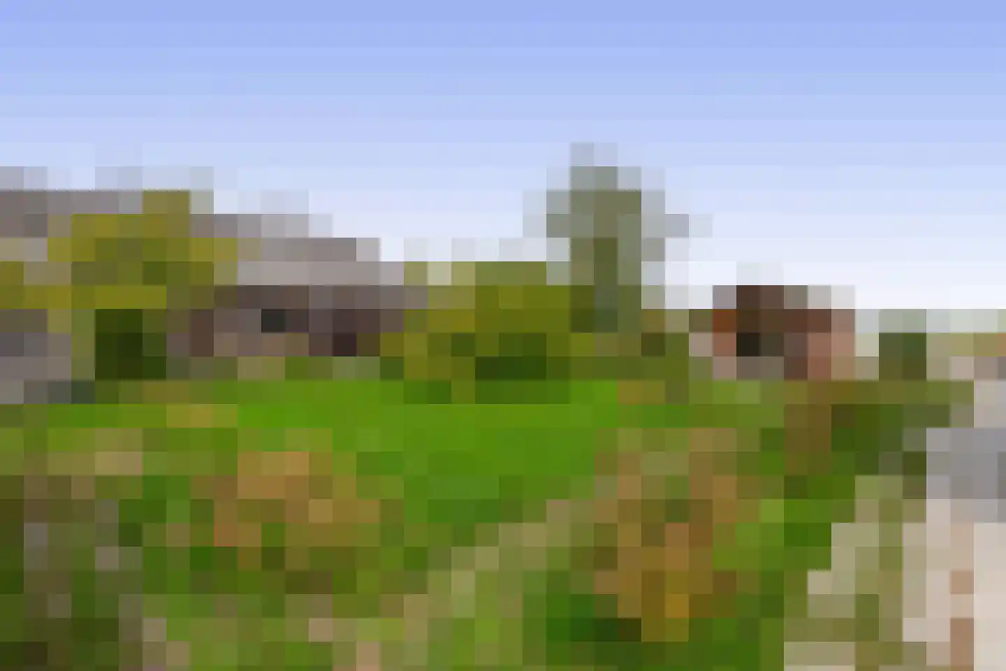 3e Poellaan 87 Lisse thumbnail 55