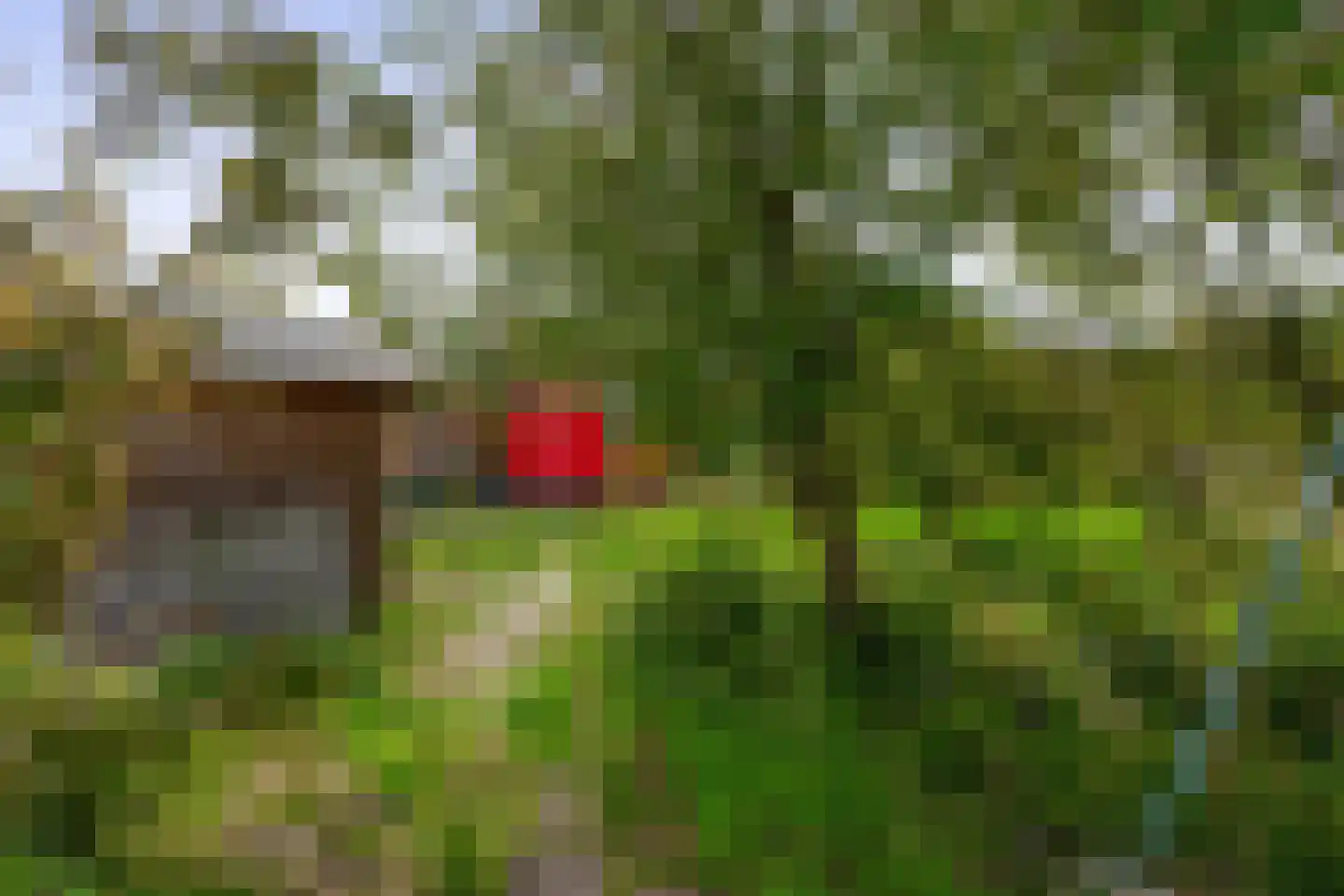 3e Poellaan 87 Lisse thumbnail 56