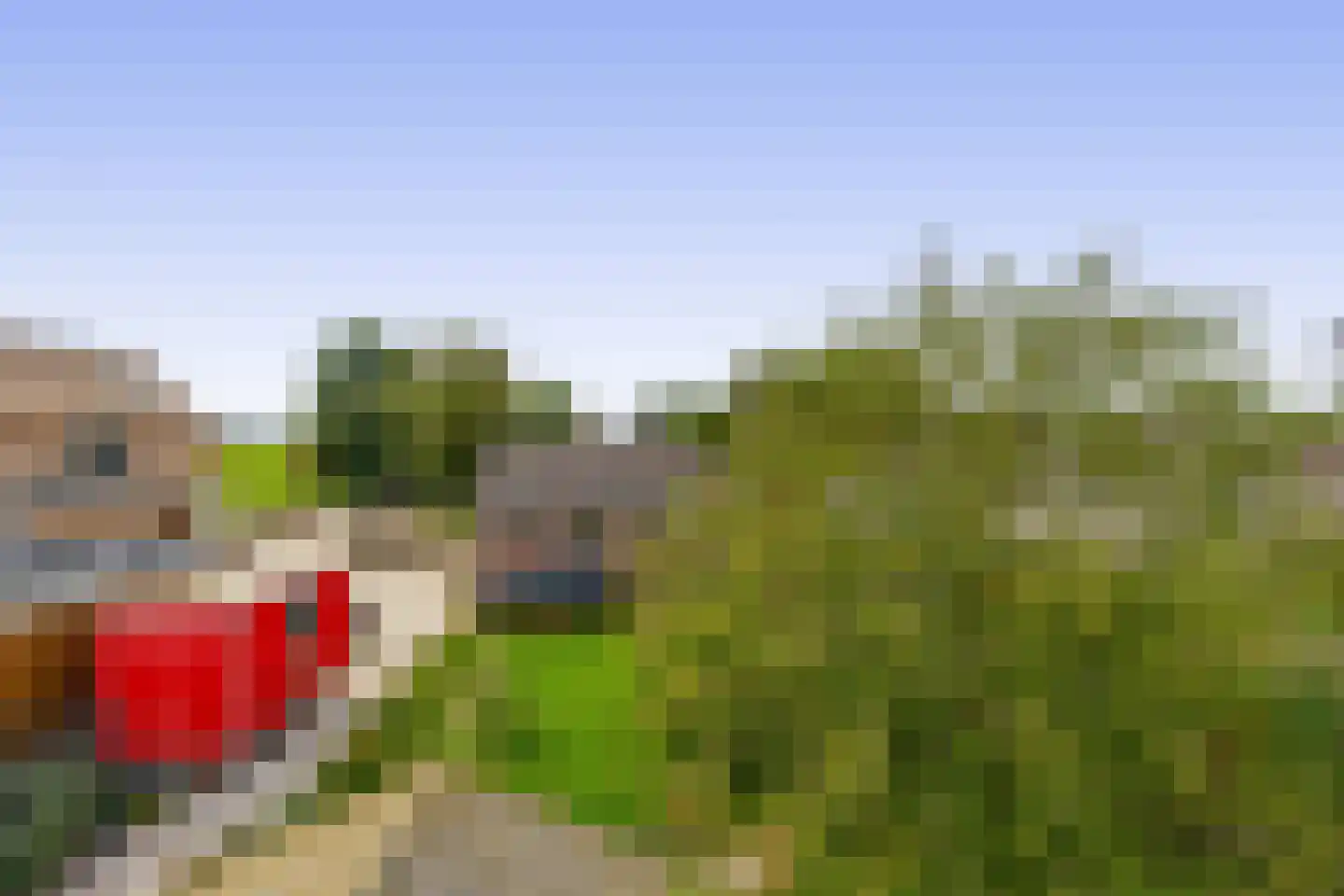 3e Poellaan 87 Lisse thumbnail 59