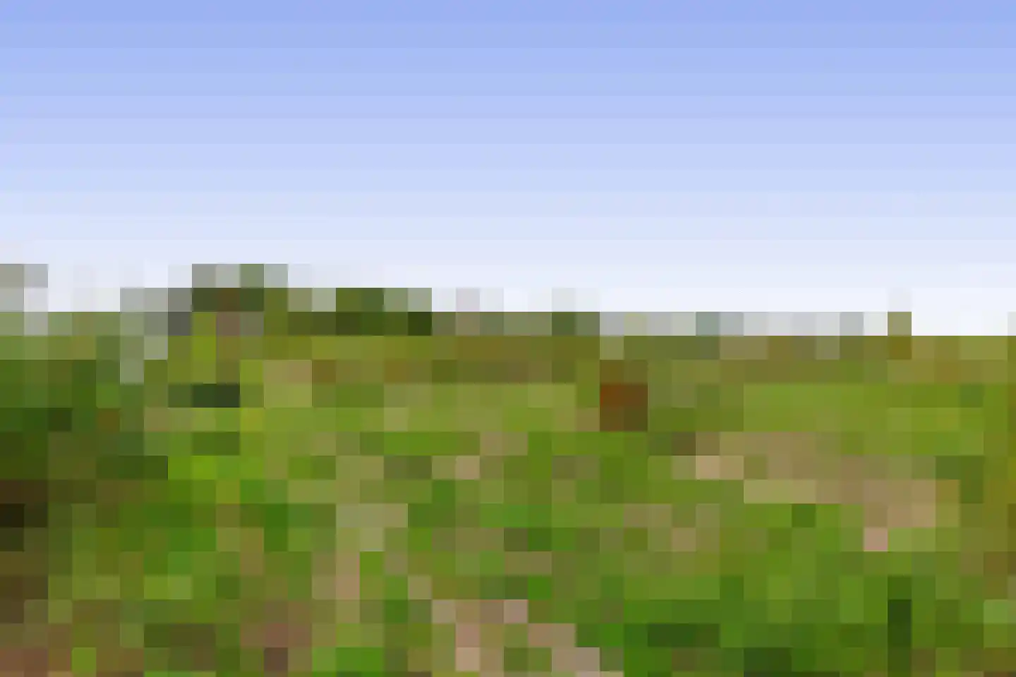 3e Poellaan 87 Lisse thumbnail 60