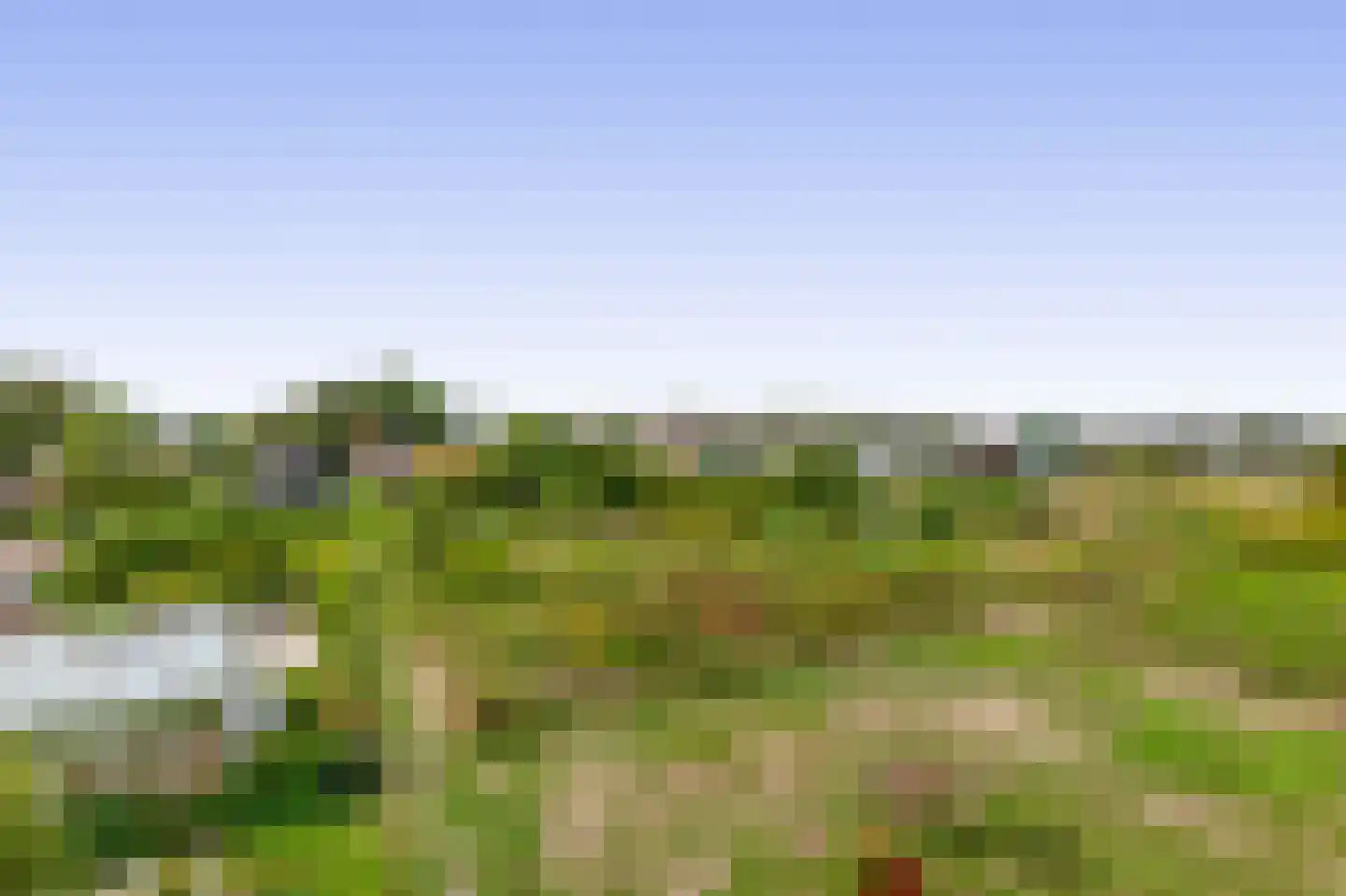 3e Poellaan 87 Lisse thumbnail 61