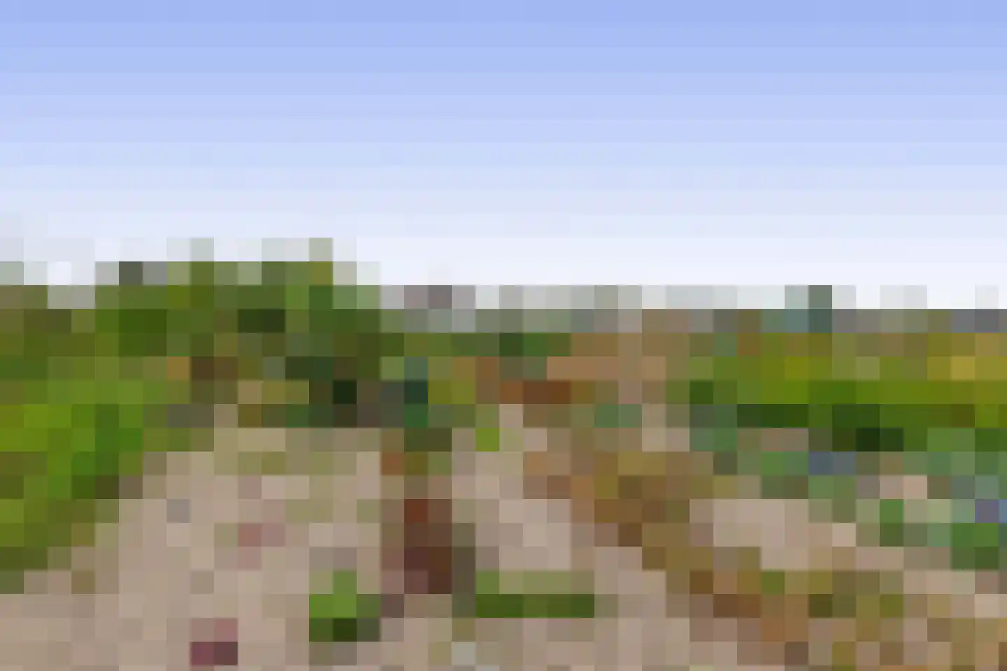 3e Poellaan 87 Lisse thumbnail 62
