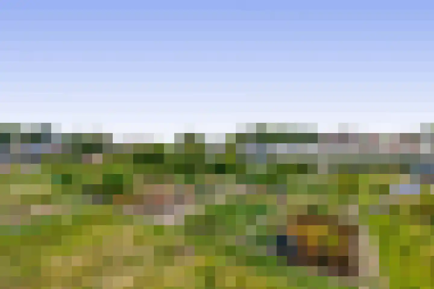 3e Poellaan 87 Lisse thumbnail 63