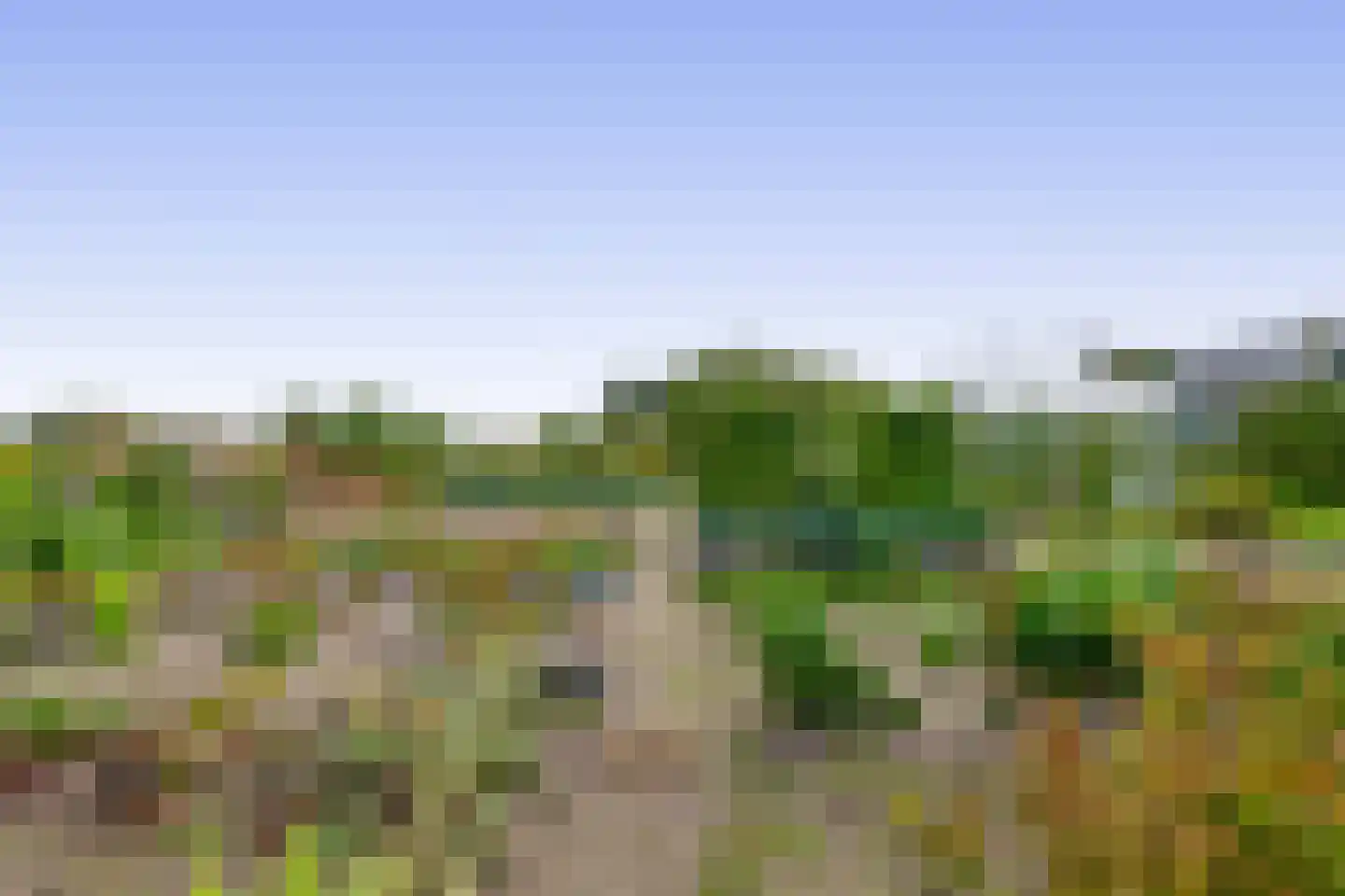 3e Poellaan 87 Lisse thumbnail 64