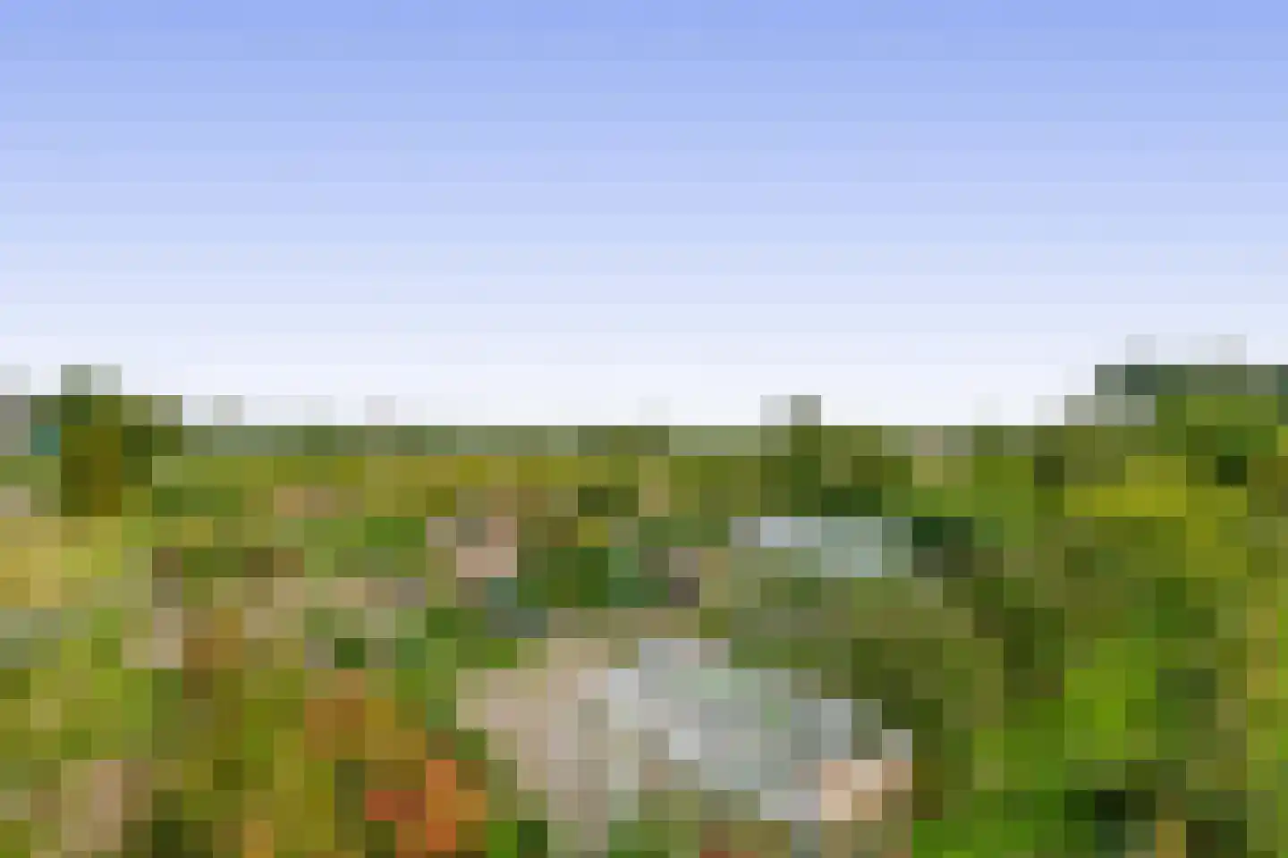 3e Poellaan 87 Lisse thumbnail 65