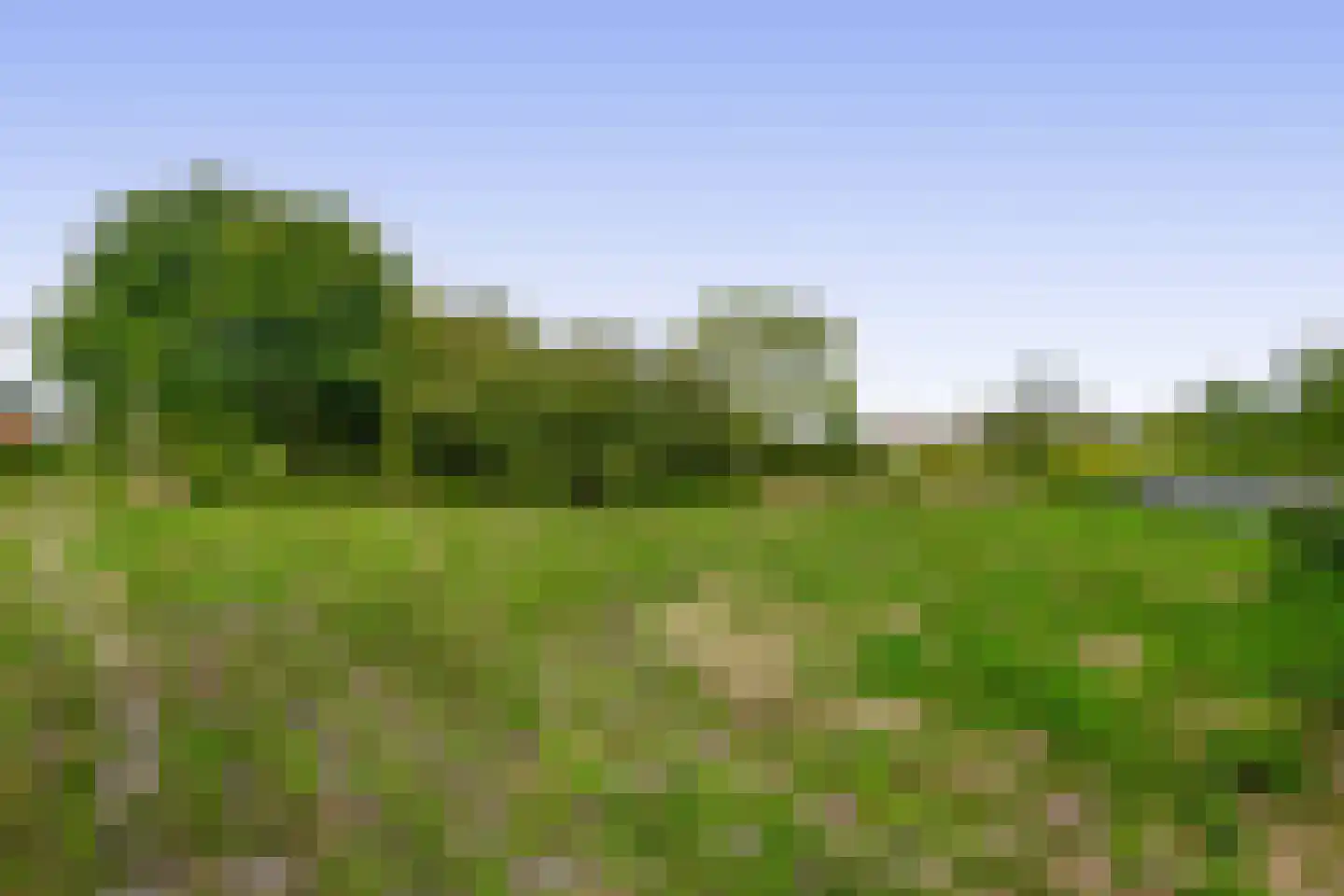 3e Poellaan 87 Lisse thumbnail 66