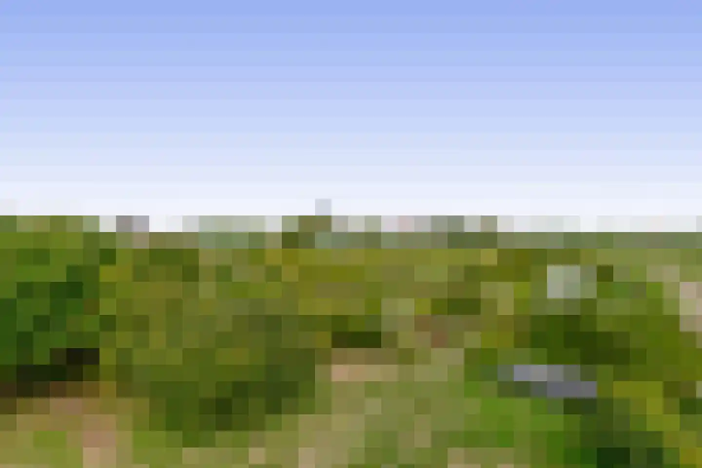 3e Poellaan 87 Lisse thumbnail 67