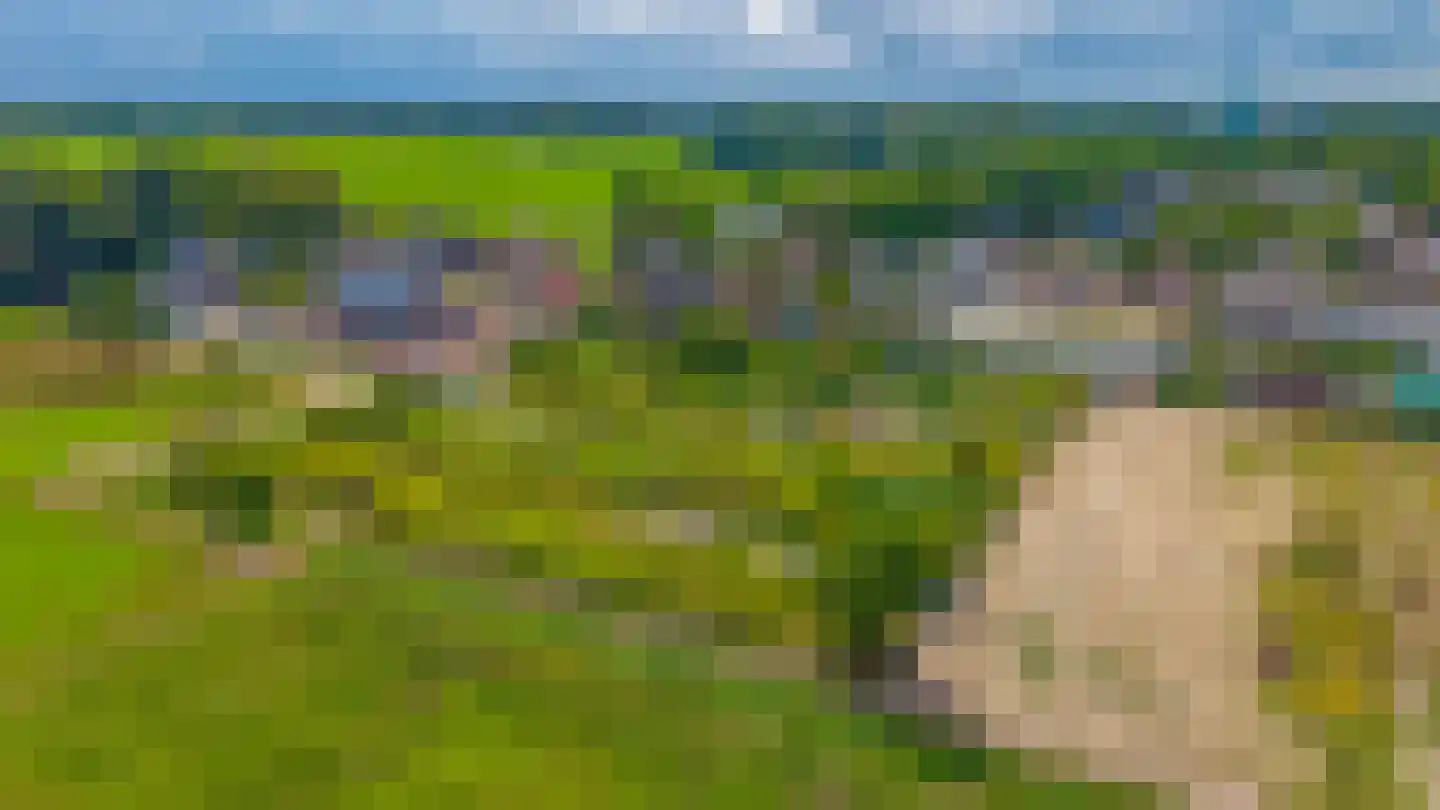 3e Poellaan 87 Lisse thumbnail 68