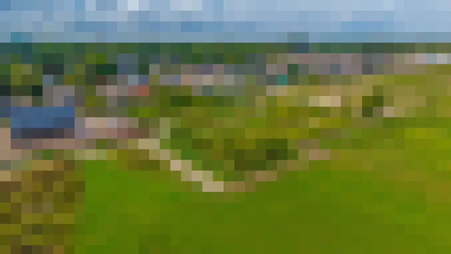 3e Poellaan 87 Lisse thumbnail 69