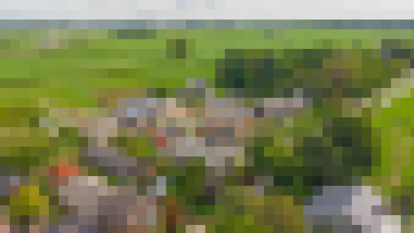 3e Poellaan 87 Lisse thumbnail 75