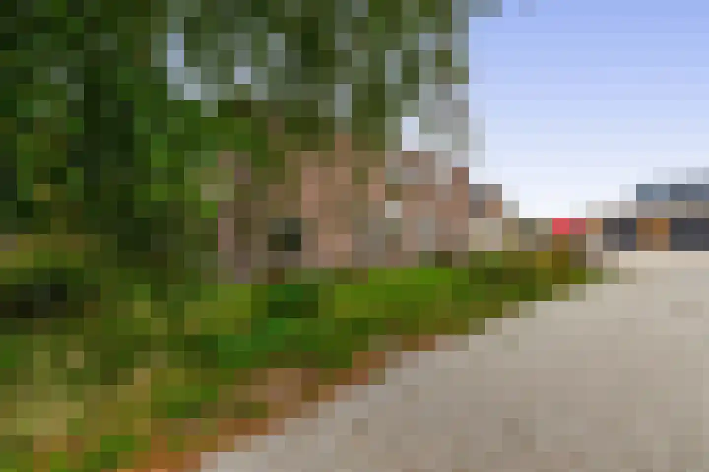 3e Poellaan 87 Lisse thumbnail 77