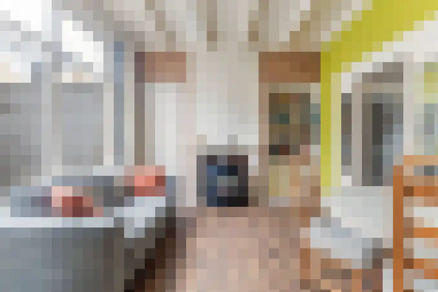 3e Rembrandtdwarsstraat 15 Leeuwarden thumbnail 5