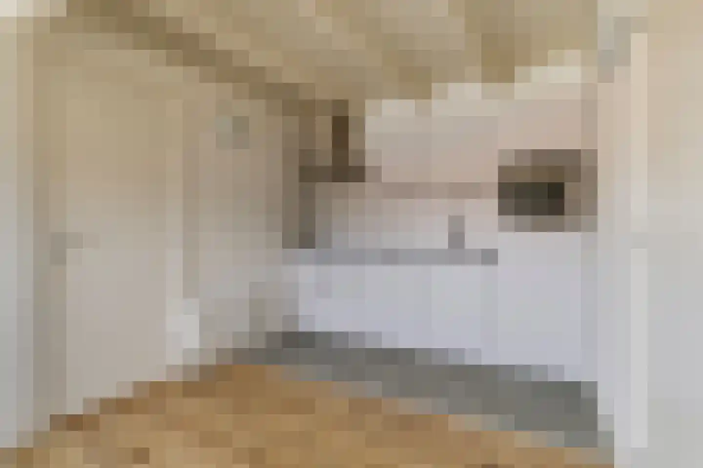 3e Schansstraat 19 A Rotterdam thumbnail 14