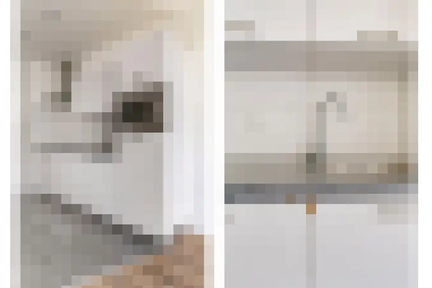 3e Schansstraat 19 A Rotterdam thumbnail 8